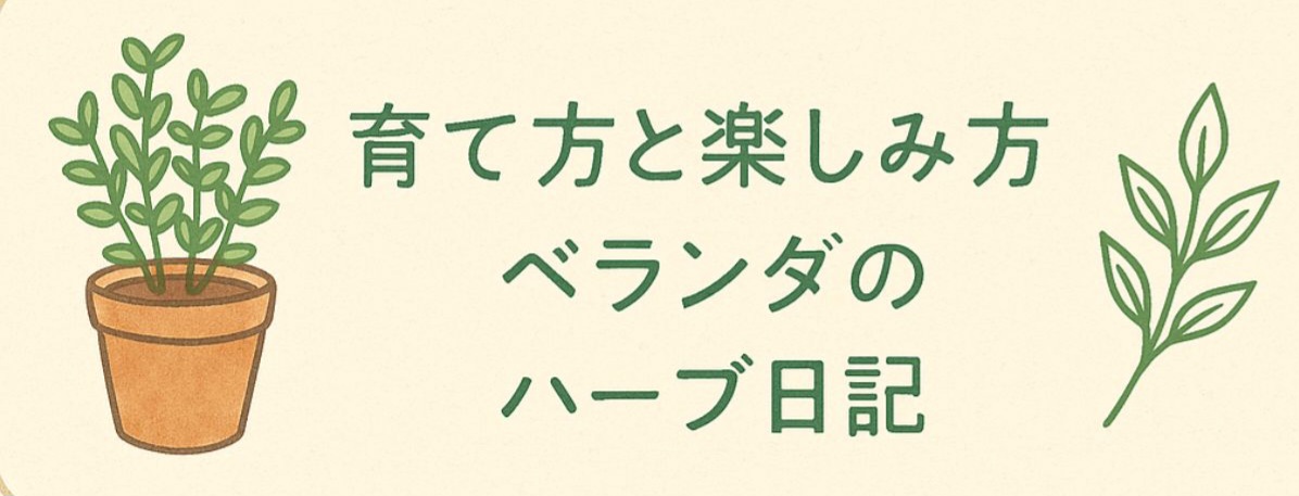 ベランダのハーブ日記｜育て方と楽しみ方