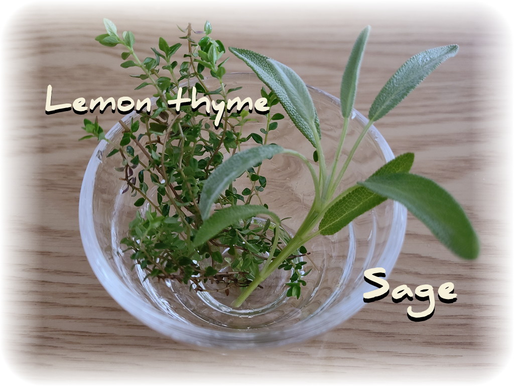 éæãªå°ããªã°ã©ã¹ã®äžã®ã¬ã¢ã³ã¿ã€ã ãšã»ãŒãžã®ãã¬ãã·ã¥è