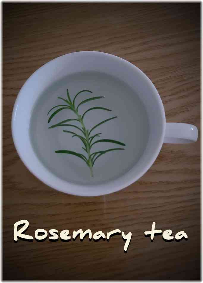 夜の静かな雰囲気の中で撮影されたローズマリーティーのカップの写真