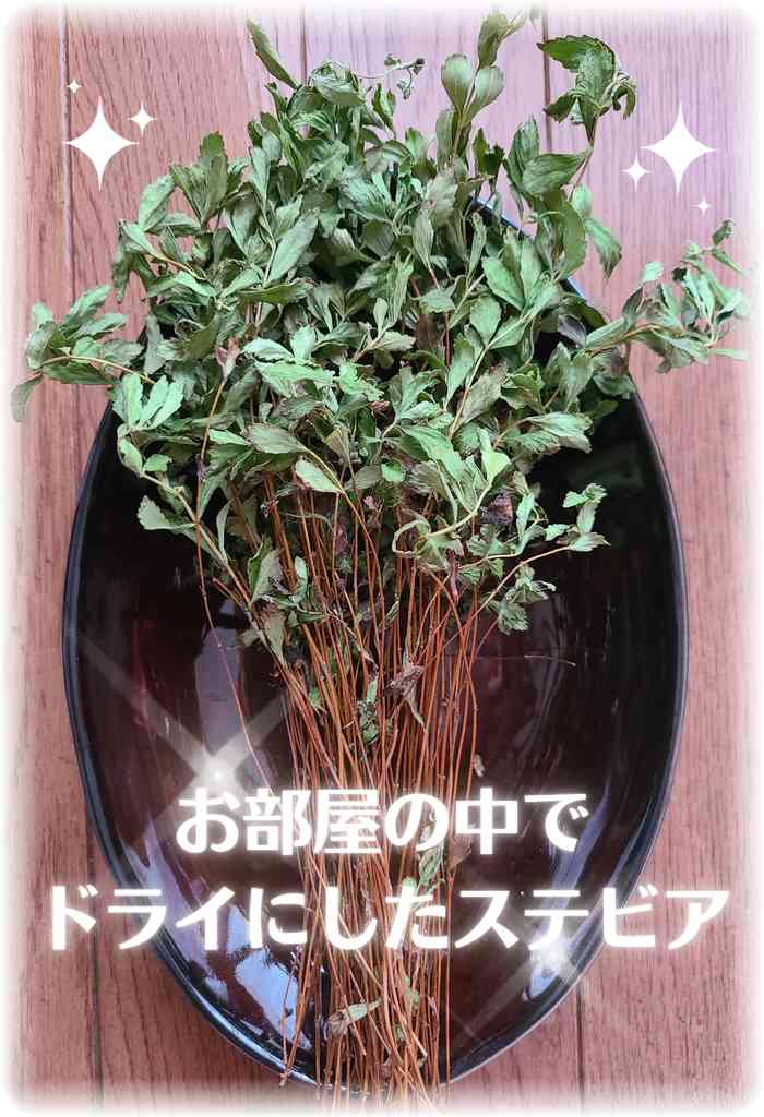 ãã©ã³ãã§åç©«ããŠä¹Ÿç¥ãããã¹ããã¢ã®æãçŠè¶è²ã®ãç¿ã®äžã«ä¹ãã