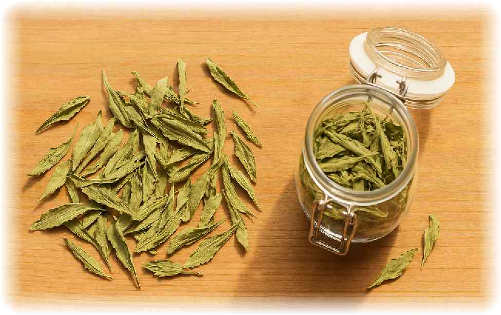 æšè£œã®ããŒãã«ã®äžã«çœ®ããã也ç¥ããã¹ããã¢ã®èãšã暪ã«äžŠã¹ãããç¶å
¥ãã®ã¹ããã¢ã®ä¹Ÿç¥èã®åç