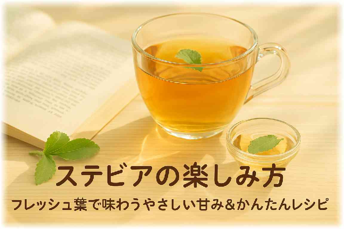 開いた本の横に置かれたガラスカップのハーブティーとステビアのフレッシュ葉が並ぶ写真