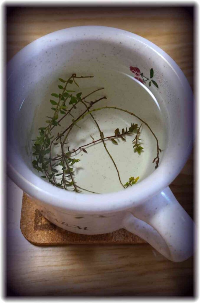 å€ãããŒãã«ã®äžã§ã«ããã«ã¬ã¢ã³ã¿ã€ã ã®èãå
¥ãããæ¹¯ã泚ãã ããŒããã£ãŒã®åç