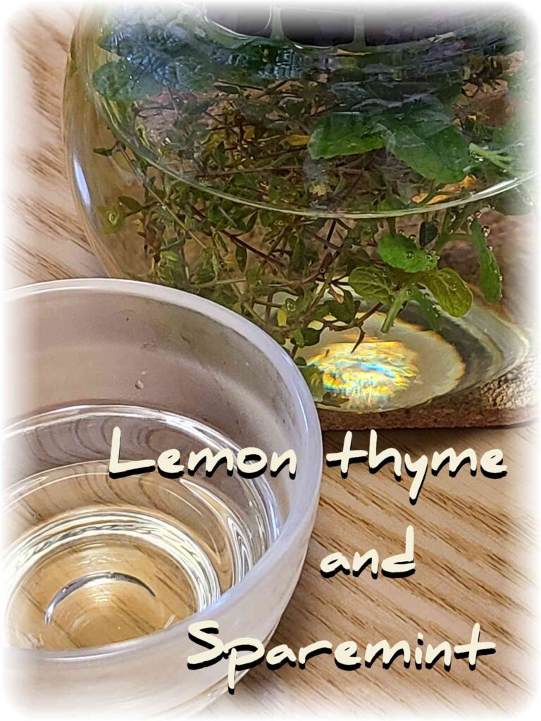 æšè£œã®ããŒãã«ã®äžã«çœ®ãããã¬ã¢ã³ã¿ã€ã ãšã¹ãã¢ãã³ãã®ãã¬ã³ããã£ãŒã®å
¥ã£ããã£ãŒããããå°ããªã¬ã©ã¹ã®ã«ãã