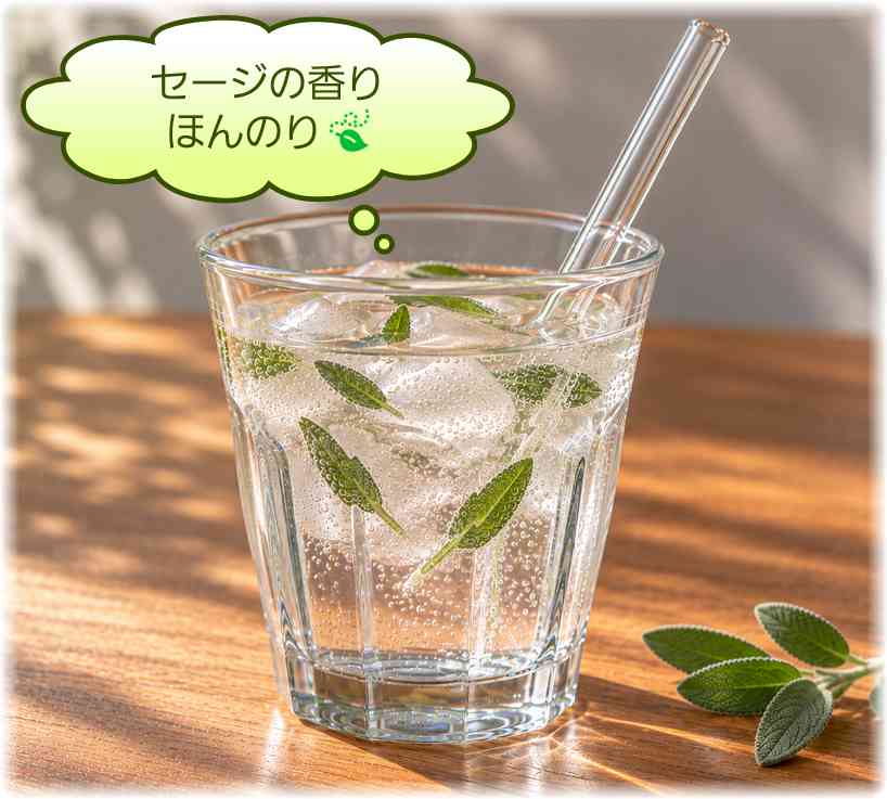 デュラレックスのグラスに入れたフレッシュセージの炭酸水